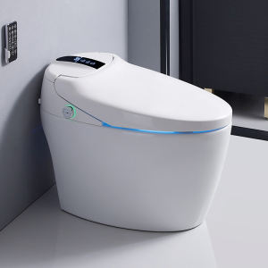 Ceramic One-piece Toilet Bidet