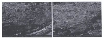 morphology of dimples at the edge of the fracture