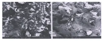 Morphology of the middle of the fracture