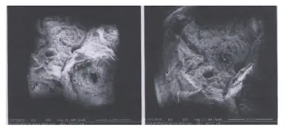 Morphology of the middle and edge of the fracture