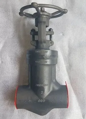 globe valve