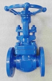 Applications of Valve Management Systems in Water Supply Pipes
