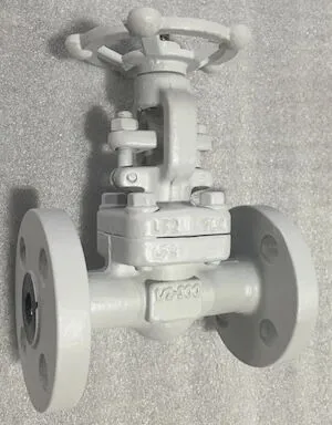 gate valve