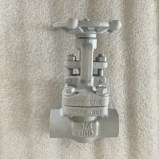 API 602 Socket Weld Gate Valves, ASTM A105N, 3/4 IN, 800 LB