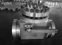 Development of a Hand-Operated Check Valve for Heavy Water Reactor Nuclear Power Plants