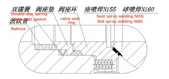 Schematic diagram of the improved sealing ring structure Schematic diagram of the improved sealing ring structure