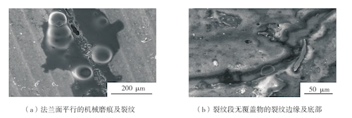 SEM Images of Valve Body Surface and Crack Defects