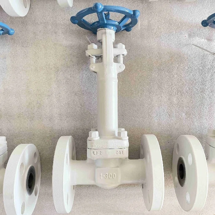 Cryogenic Globe Valves Cryogenic Globe Valves
