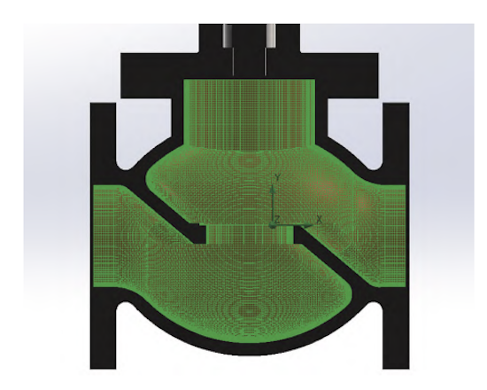 Mesh configuration of the globe valve Mesh configuration of the globe valve