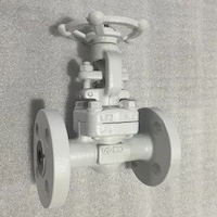 Research on the Manufacturing Process of Cryogenic Valves