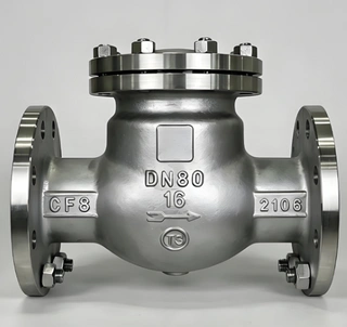 Check Valve Replacement: Know the Warning Signs