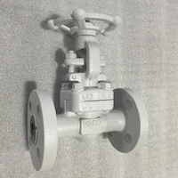 Research on the Manufacturing Process of Cryogenic Valves