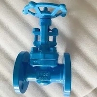 Replacing Imported Cryogenic Valve Parts with Domestically Produced Components