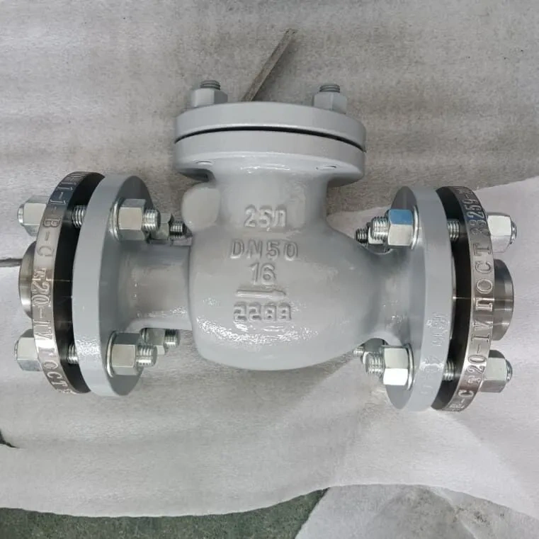 Swing Check Valve