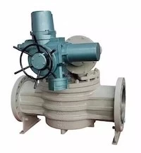 Structural Features of Double Shut-off Plug Valves