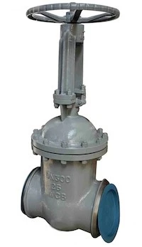 Different Types of Wedge Gate Valves