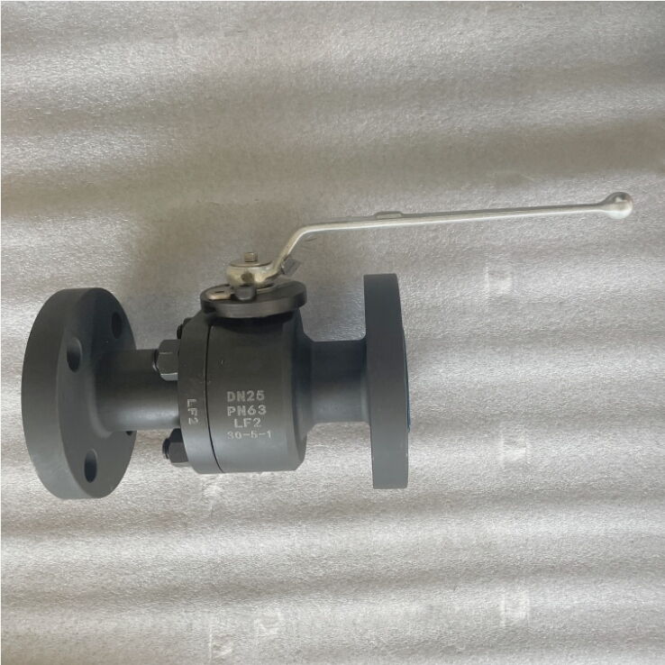 ASTM A350 LF2 Floating Ball Valves, API 608, DN25, PN63, RF