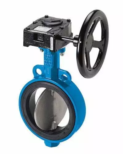Soft seated butterfly valves