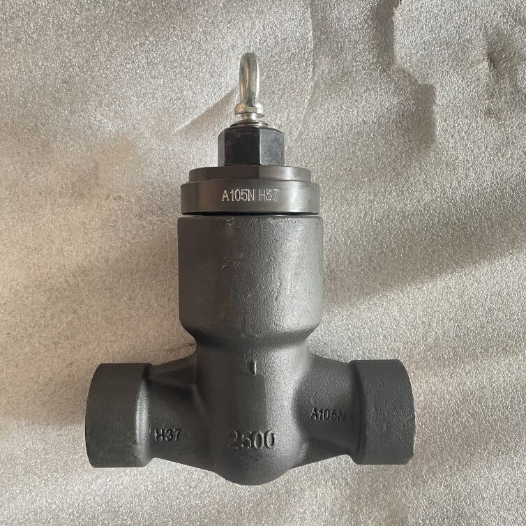 ASME B16.34 Lift Check Valve, 1 Inch, 2500 LB, ASTM A105N