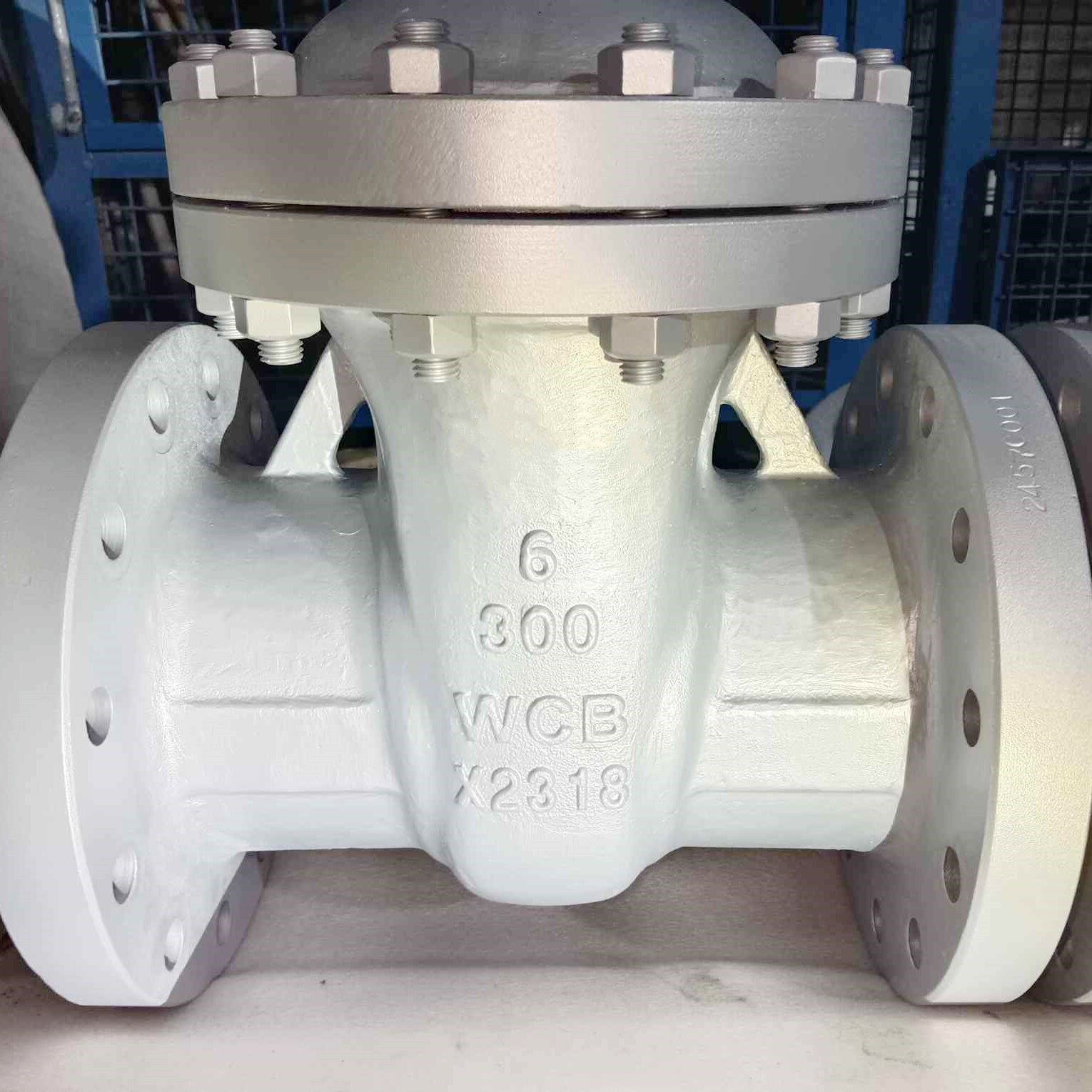 ASME B16.34 Swing Check Valves, A216 WCB, 6 IN, 300 LB, RF