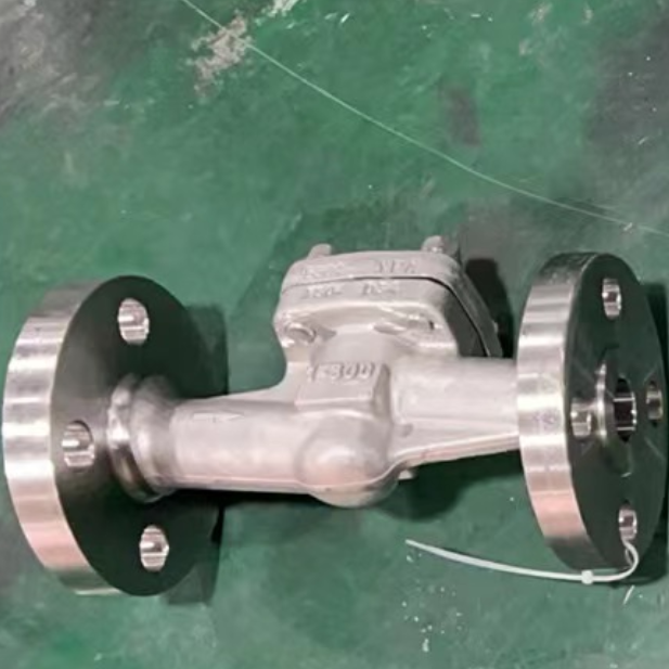 ASTM A182 F316L Lift Check Valve, 1 Inch, 300 LB, API 602, RF