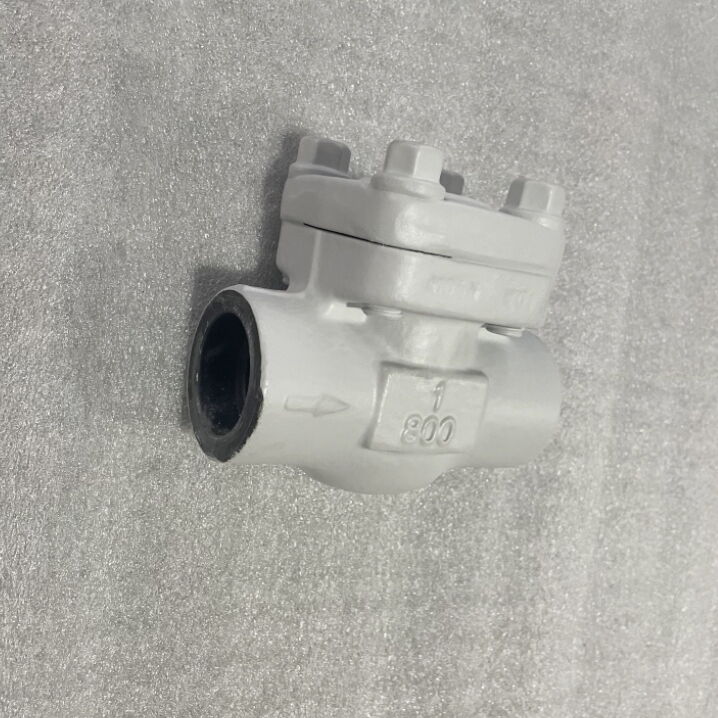 ASTM A350 LF2 Lift Check Valve, API 602, 800 LB, 1 Inch, SW