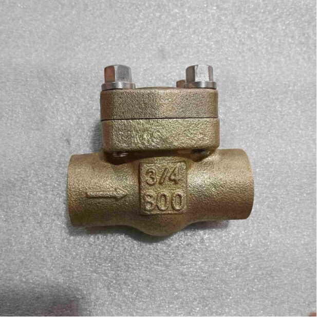 ASTM B148 C95800 Check Valve, 3/4 Inch, 800 LB, API 602, SW