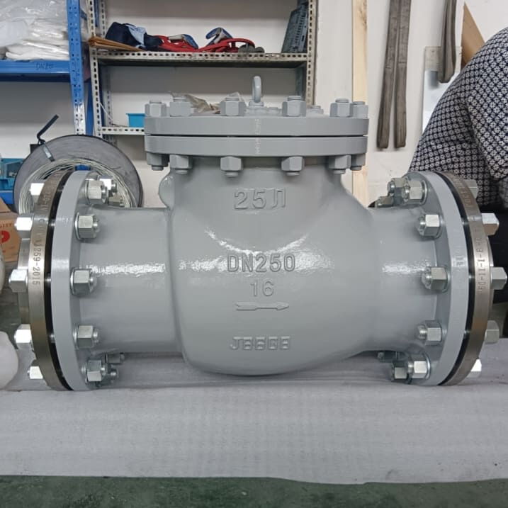 BS EN 13709 Swing Check Valves, 25Л, DN250, PN16