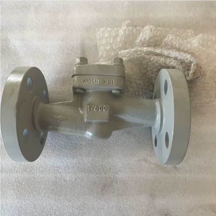 Carbon Steel Lift Check Valve, API 602, A105N, 1 IN, CL600