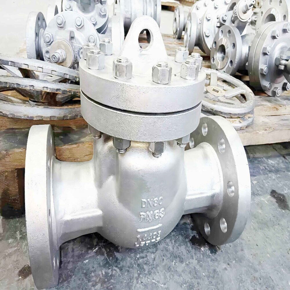 DIN 3356 Swing Check Valve, EN 10283/1.4408, DN80, PN63, RF