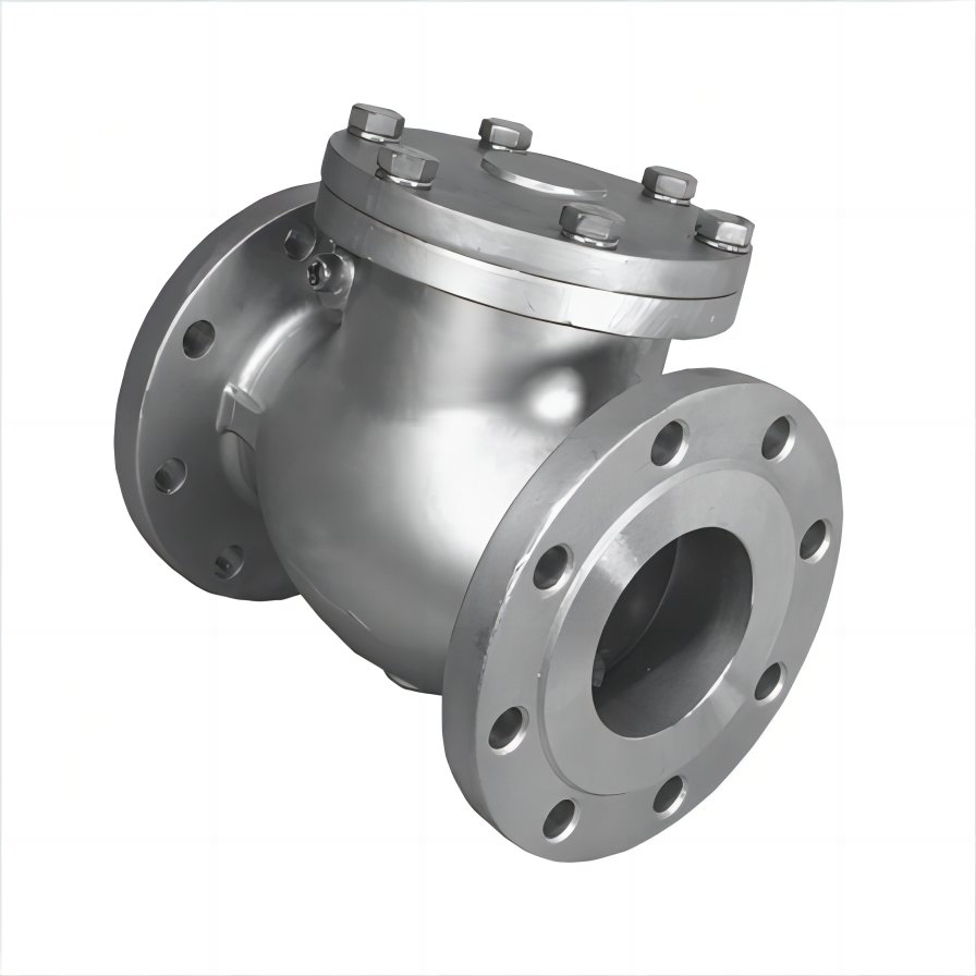 Duplex Stainless Steel ASTM A995 4A Check Valve,6 IN,300 LB