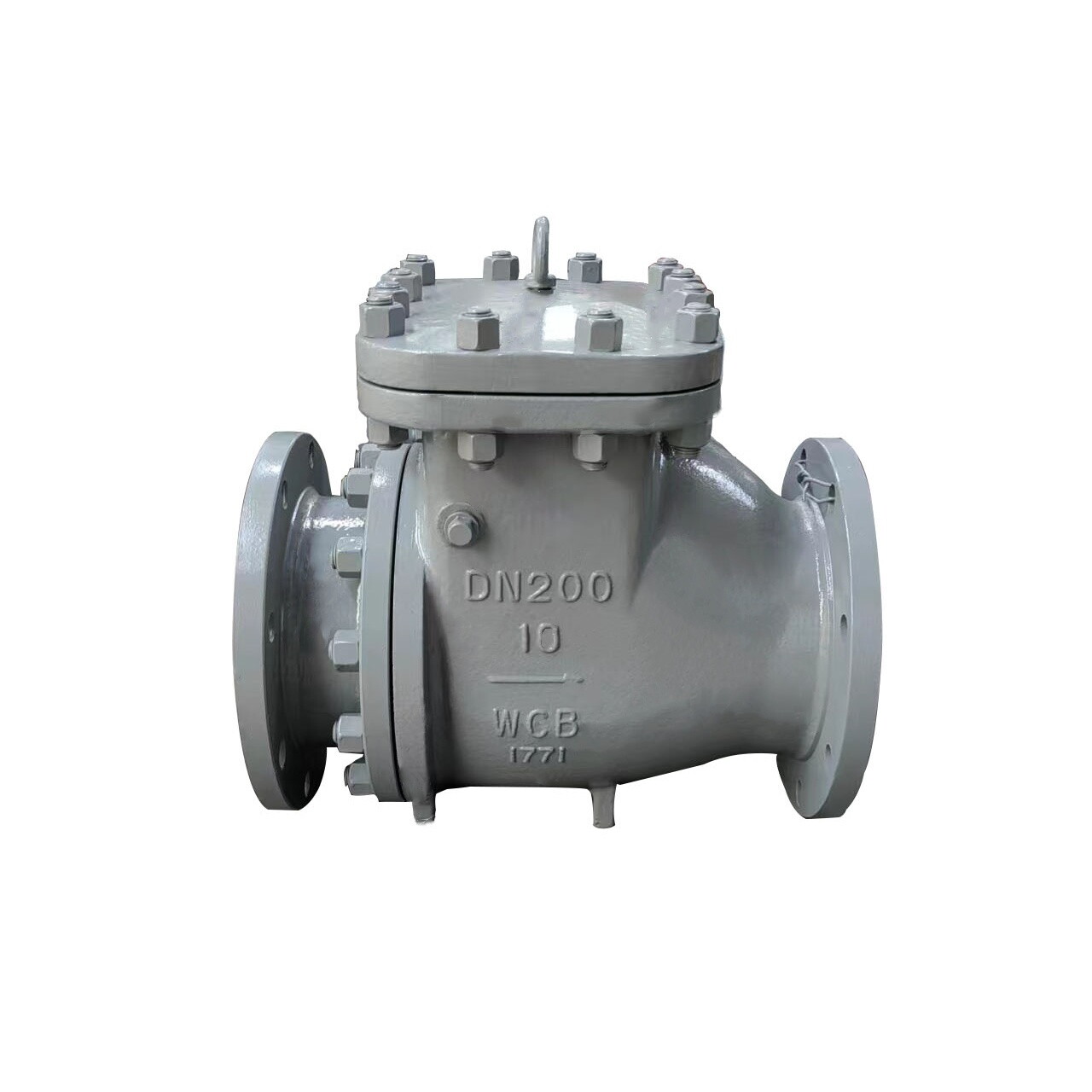 EN 1984 Check Valve, DN200, PN10, WCB, Integral Seat, RF