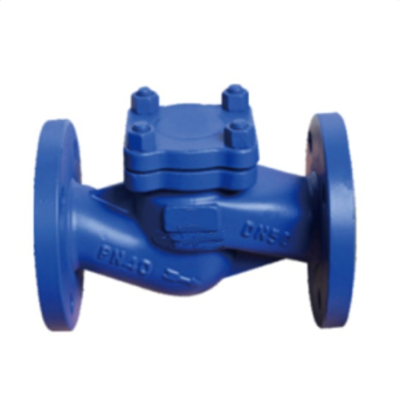 EN 1984 Lift Check Valve, DN50, PN40, ASTM A216 WCB