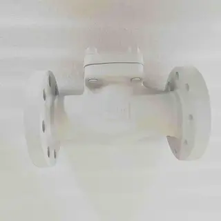ASTM A105N Lift Check Valve, 2 Inch, 300 LB, API 602, RF
