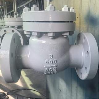 ASTM A216 WCB Swing Check Valve, 3 Inch, 600 LB, BS 1868