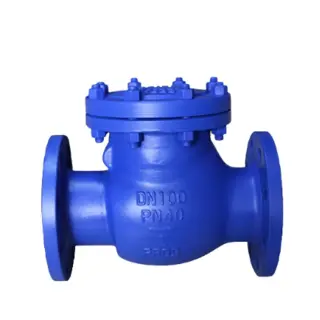 ASTM A216 WCB Swing Check Valve, DN100, PN40, EN 1984