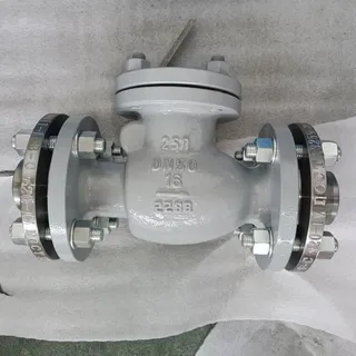 Swing Check Valve, BS EN 13709, 25Л, PN16, DN50