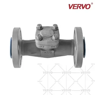 ASTM A350 LF2 Cryogenic Swing Check Valve, 1 Inch, 800 LB