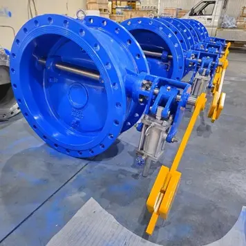 Slow Closing Butterfly Check Valve, CJ/T 282, WCB, DN800, RF