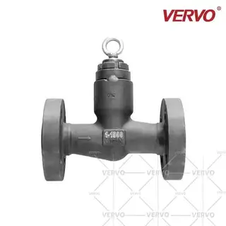 Pressure Seal Lift Check Valve, 1 Inch, 1500 LB, A105N, RTJ