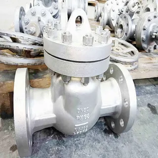 DIN 3356 Swing Check Valve, EN 10283/1.4408, DN80, PN63, RF