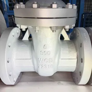 ASME B16.34 Swing Check Valves, A216 WCB, 6 IN, 300 LB, RF