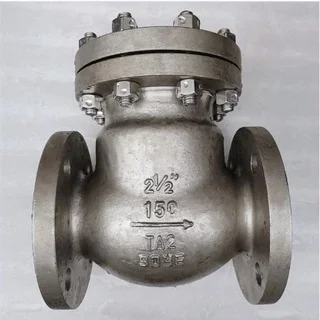 Titanium Alloy TA2 Check Valve, 2-1/2 Inch, 150 LB, BS 1868