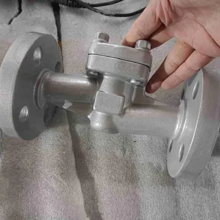 API 602 Lift Check Valves, Carbon Steel, A105N, CL600, 1 IN
