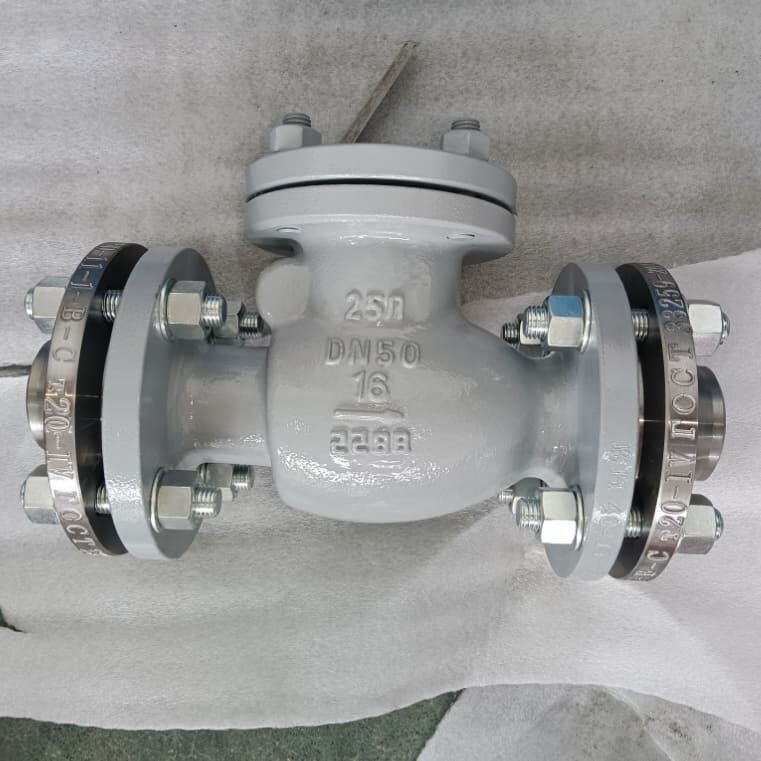 Swing Check Valve, BS EN 13709, 25Л, PN16, DN50