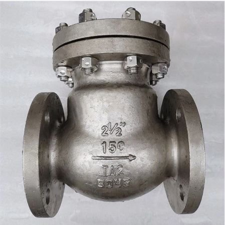 Titanium Alloy TA2 Check Valve, 2-1/2 Inch, 150 LB, BS 1868