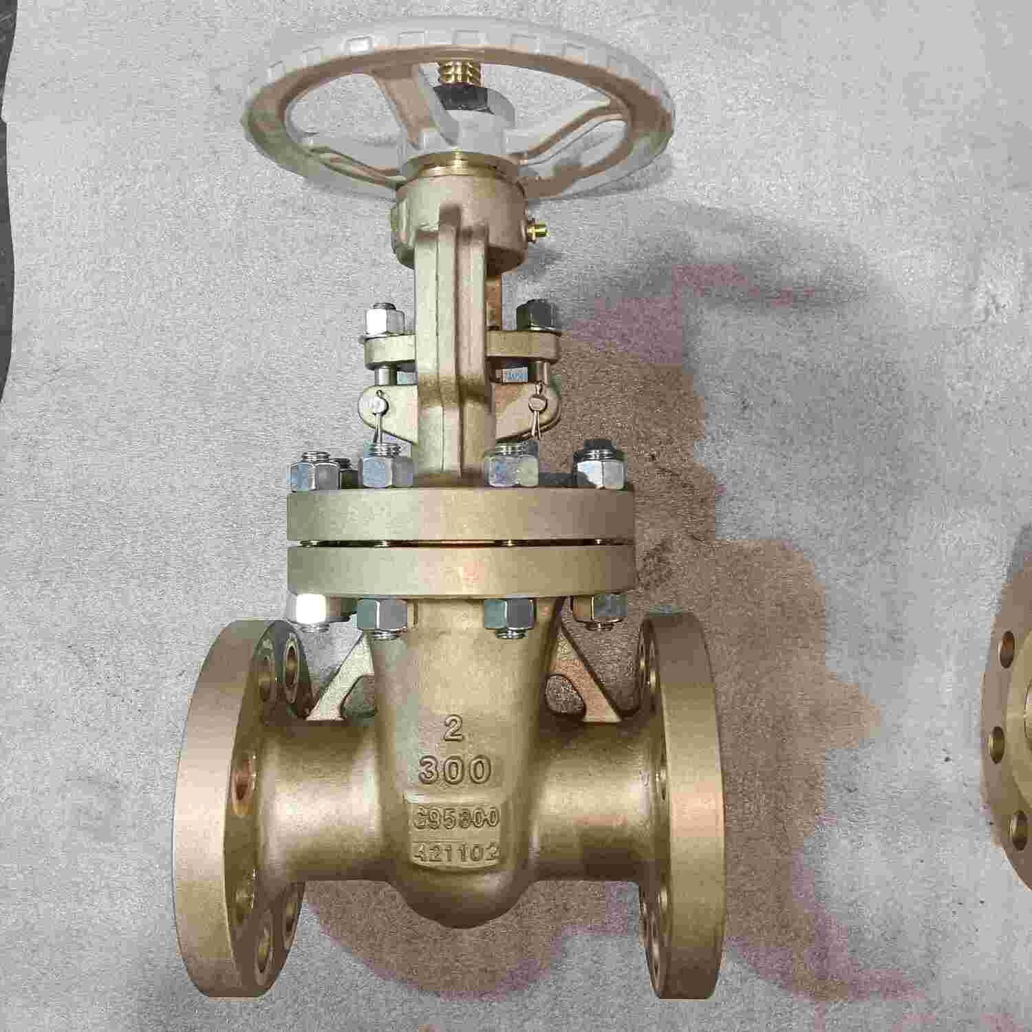 Aluminum Bronze C95800 Gate Valve, API 600, 2 IN, 300 LB, RF