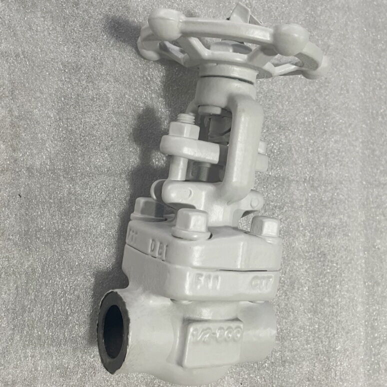 API 602 ASTM A182 F11 Gate Valves, 12 Inch, Class 800, NPT-F