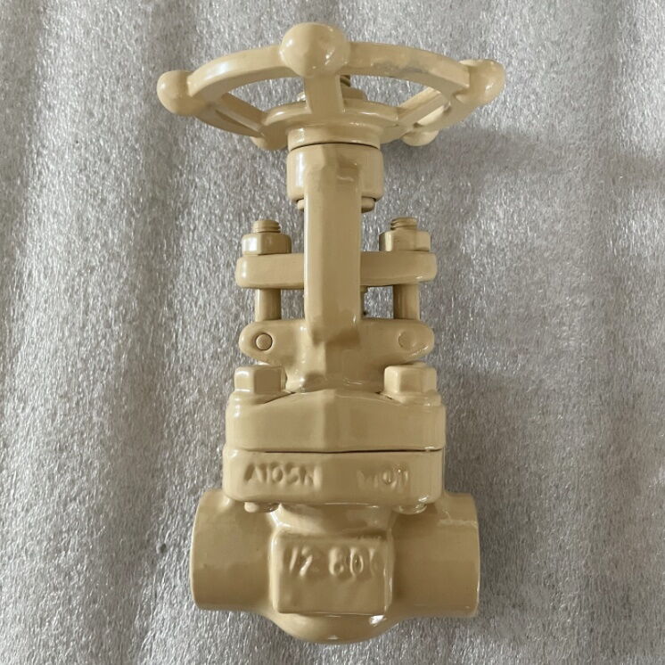 API 602 Carbon Steel Gate Valve, BB, 800 LB, 1/2 IN, A105N
