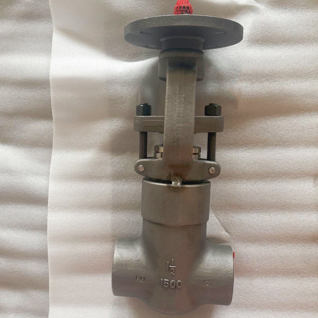 ASME B16.34 Gate Valve, A182 F91, 1-1/2 IN, 1500 LB, SW, PSB
